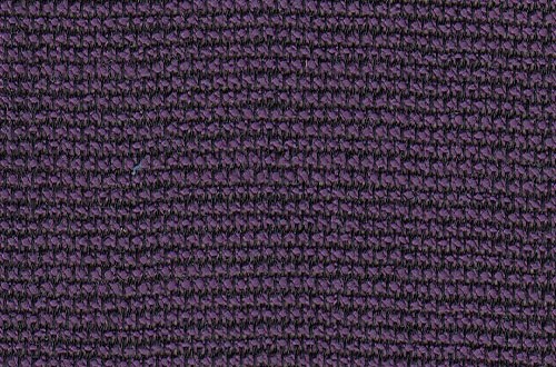 Plain Purple