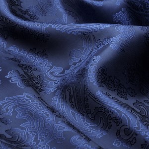 Large Paisley Blue/Black
