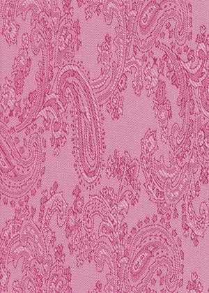 Medium Paisley Pink/Fuchsia