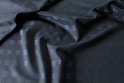 Navy Shadow Check 