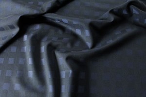 Navy Shadow Check 