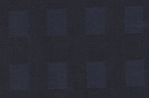 Navy Shadow Check 