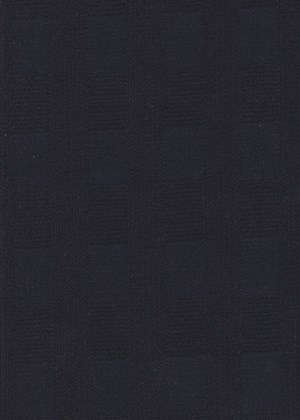 Midnight Blue Shadow Check 