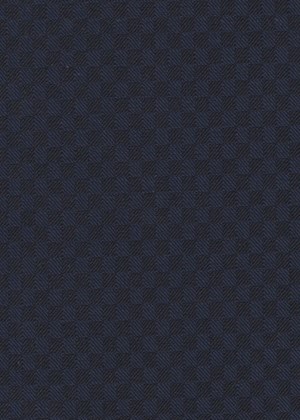 Navy Miniature Check 
