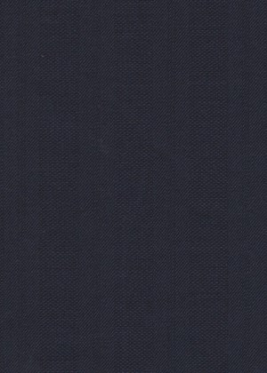 Navy Stripe