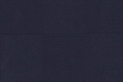 Navy Check 