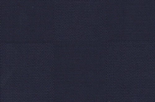 Navy Check 