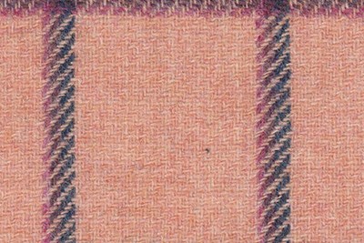 Salmon Pink w/ Navy & Fuchsia Windowpane