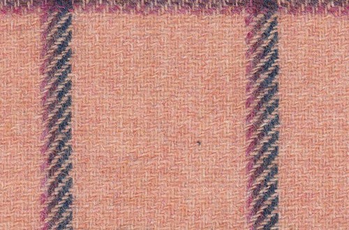 Salmon Pink w/ Navy & Fuchsia Windowpane