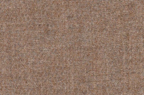 Plain Beige