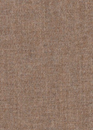 Plain Beige