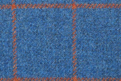 Blue with orange check