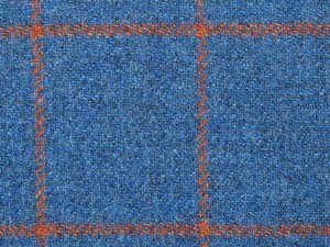 Blue with orange check