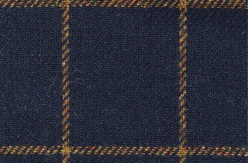 Navy with Gold check