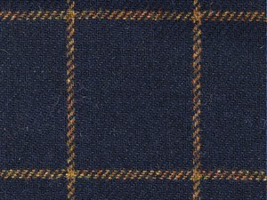 Navy with Gold check