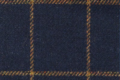 Navy with Gold check
