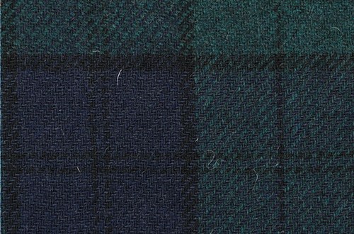 Green/Navy/Black check