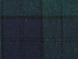 Green/Navy/Black check