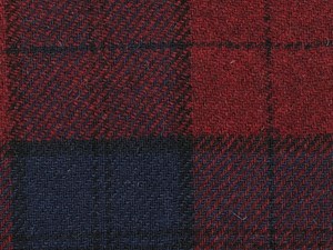 Burgundy/Navy/Black Check
