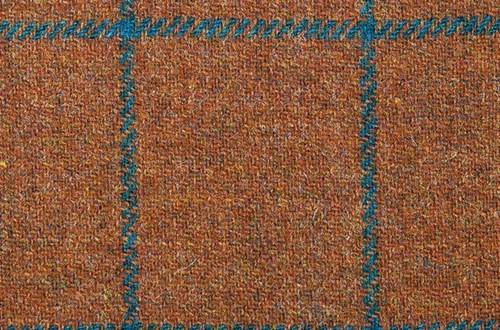 Orange with Blue check
