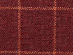 Burgundy with salmon check