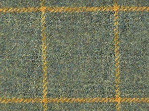 Green with Gold Check