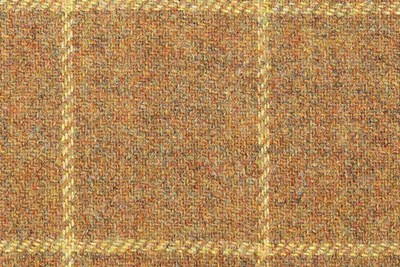 Fawn with Yellow check