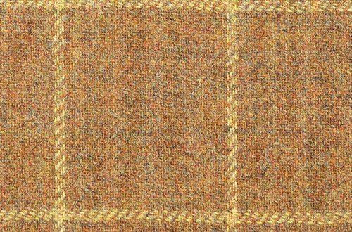 Fawn with Yellow check