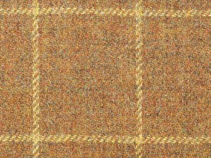 Fawn with Yellow check