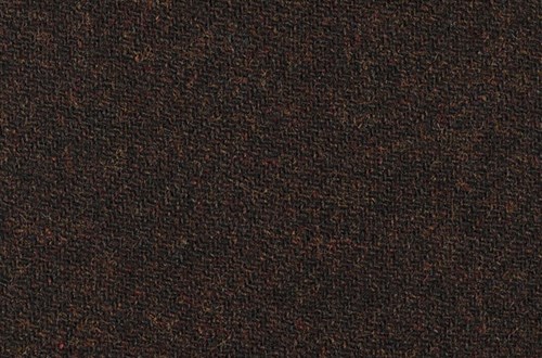 Brown Plain
