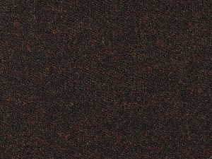 Brown Plain