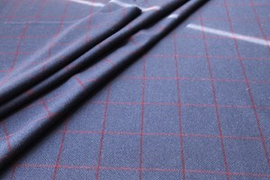 Blue w/Red check