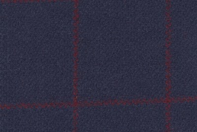 Blue w/Red check