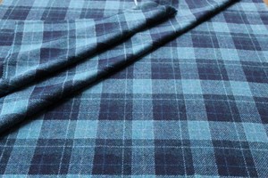 Dark/Light Blue Check