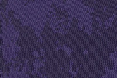 Purple Camouflage