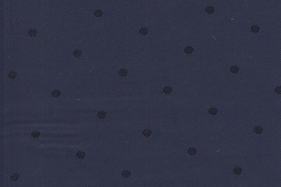 Navy Spot