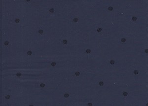 Navy Spot