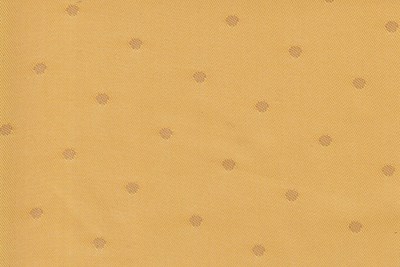 Yellow Spot