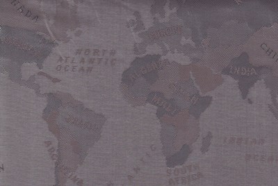Grey World Map