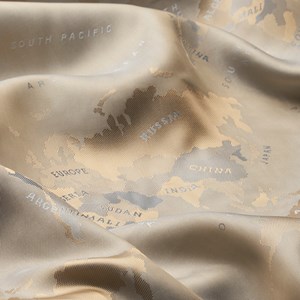 Beige Two Tone World Map