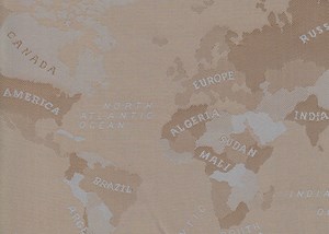 Beige Two Tone World Map