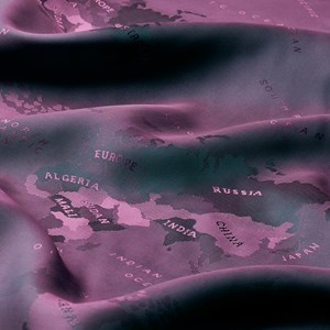 Burgundy Two Tone World Map