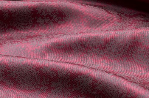 Burgundy Paisley Print