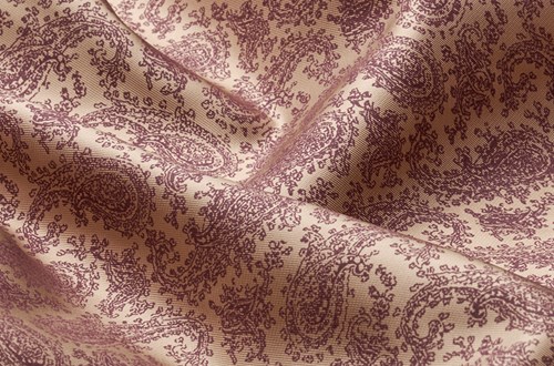 Sand / Burgundy Paisley Print