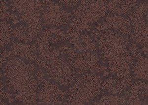 Brown Paisley Print
