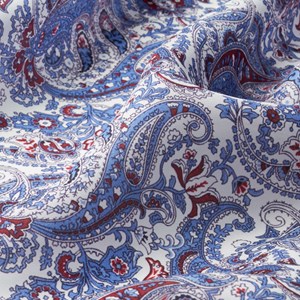 White / Blue / Red Large Paisley Print