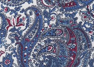 White / Blue / Red Large Paisley Print