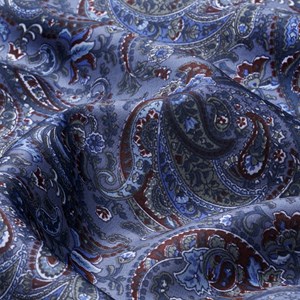 Navy / Red Large Paisley Print
