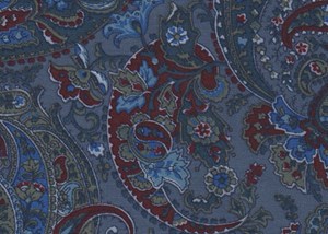 Navy / Red Large Paisley Print