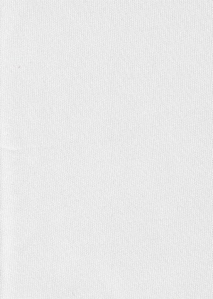 Plain Satin ivory